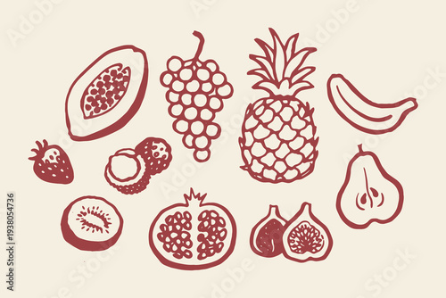 Tropical fruit set naive outline sketch vector illustration
