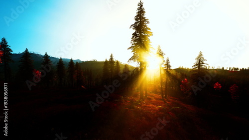 Fotografía Dramatic sunburst through pine forest intense rays slicing misty valley fiery ba