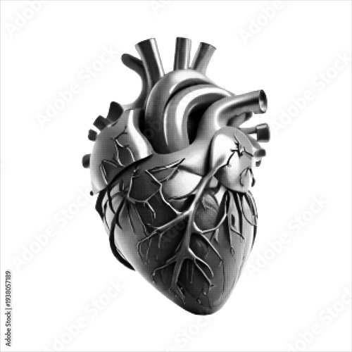 Detailed halftone anatomical human heart illustration with arteries and veins, black and white medical organ graphic isolated on light background, vintage engraving style for healthcare, science or ta