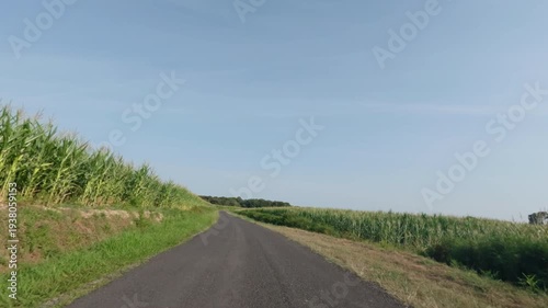 POV driving in france with sweetcorn monoculture