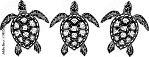 Sea turtle line art illustration marine animal engraving style ocean wildlife vector design isolated set