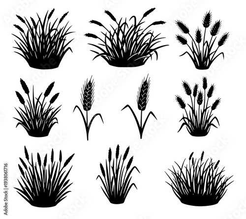 Field and garden vegetation bundle. Stencil style plant elements isolated on white.