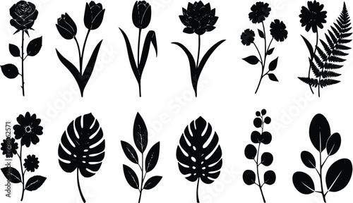 Black flower and leaf silhouette vector set with botanical elements isolated on white background