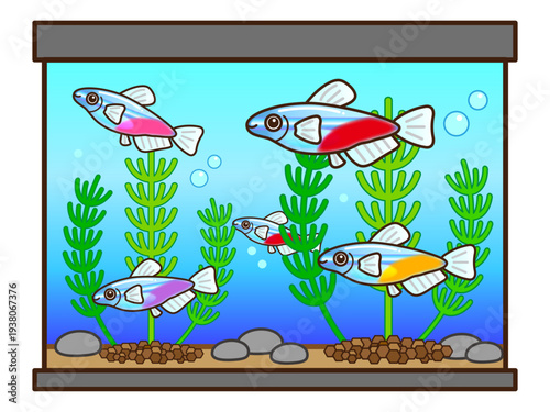 ネオンテトラと水槽と水草のイラスト素材