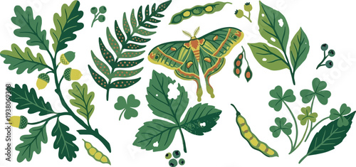 A vibrant collection of diverse woodland foliage featuring a beautiful luna moth and natural plant elements