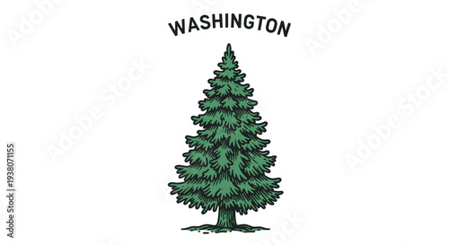 Evergreen tree with dense green foliage.