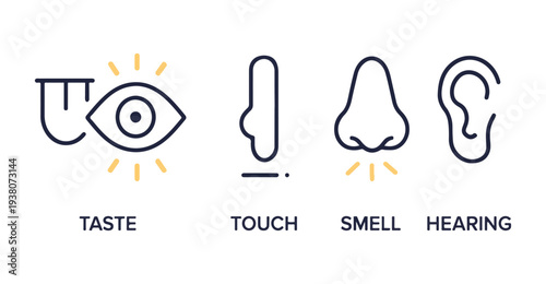 Five Human Senses Line Icons Vector Set – Taste, Sight, Touch, Smell and Hearing Outline Symbols