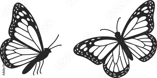 Monarch Butterflies: Elegant Natural Art