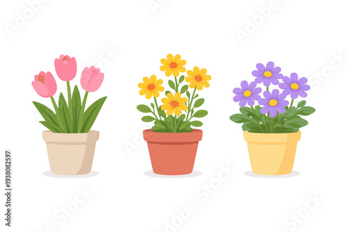 Three potted plants with colorful flowers, including tulips, daisies, and asters