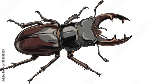 Illustration of a stag beetle with prominent mandibles.