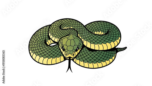 Aggressive coiled snake illustration with a forked tongue on a white background.