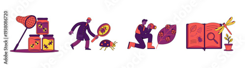 Flat Vector Entomologist Study and Bug Collection Element Kit for Science Education and Nature Exploration