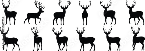 Deer silhouette collection, majestic stag with antlers in multiple standing poses, wildlife mammal vector illustration set isolated on light background