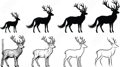 Deer stag silhouette and outline collection, majestic antlered wildlife mammal in multiple poses, forest animal vector illustration set isolated background