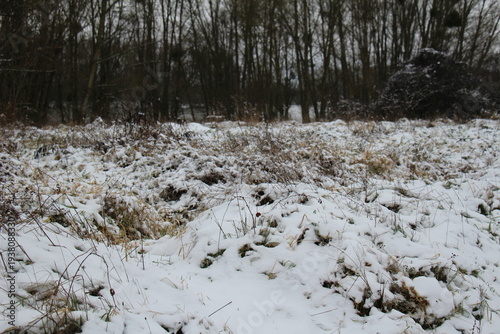Countryside under the snow