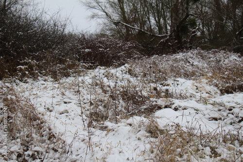Countryside under the snow