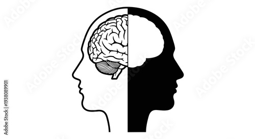 Abstract Concept of Two Halves of a Human Head and Brain, Left and Right Sides