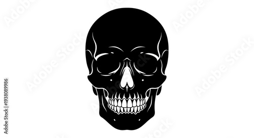 Black Silhouette of a Human Skull with Detailed Teeth and Eye Sockets