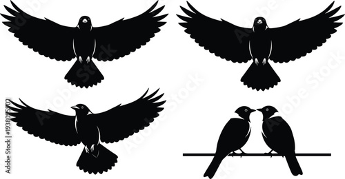 Collection of crow and raven bird silhouettes flying with spread wings, black birds sitting on a wire, nature wildlife graphics,