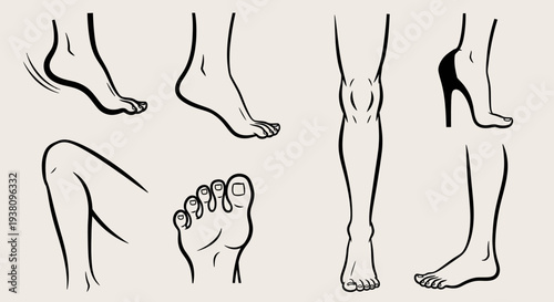 Collection of minimalist art illustrations of human legs, feet, and knees