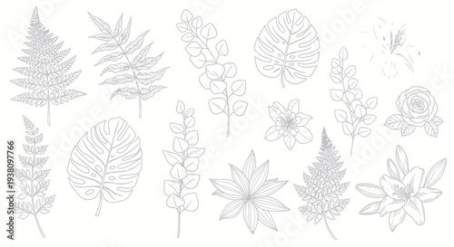 Collection of Various Leaf Illustrations and Sketches.