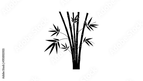 Silhouette of bamboo stalks with leaves on white background