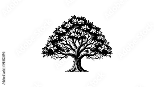 Elegant black silhouette of a tree with detailed branches and leaves