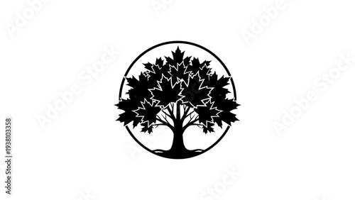 Nature's elegance with maple tree silhouette inside circle