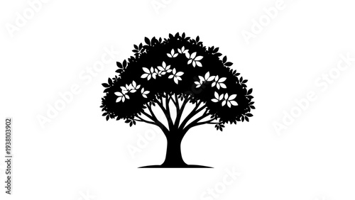 Elegant silhouette of a flowering tree with dense foliage