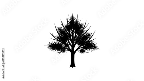Elegant palm tree silhouette on white background