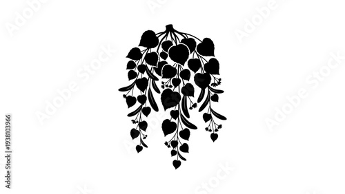 Silhouette of foliage with hanging leaves and flowers on white background