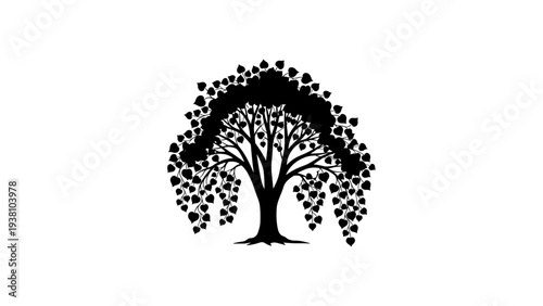 Silhouette of a leafy tree with cascading leaves on white background