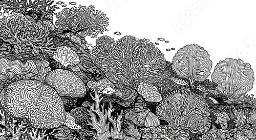 Black and white artistic illustration of a coral reef and marine life