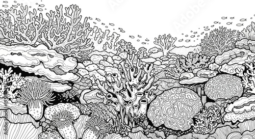 Intricate black and white illustration of a vibrant coral reef ecosystem