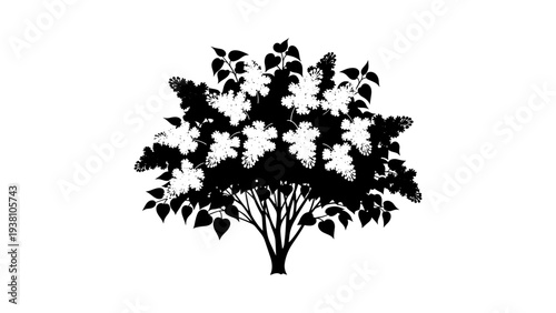 Elegant silhouette of blooming tree with lush leaves