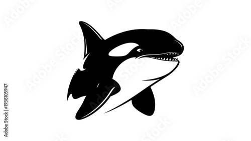 Stylized killer whale silhouette: black and white marine life design