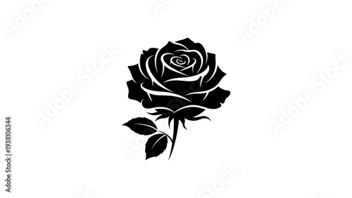 Elegant black rose silhouette on white background for floral designs
