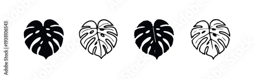 Monstera deliciosa leaf icons set, vector illustration of a tropical foliage plant.
