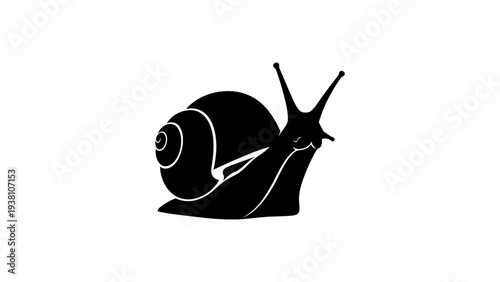 Minimalist black snail silhouette with detailed shell on white background