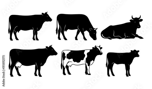 Cow silhouette vector set with standing grazing and walking cattle isolated on white background
