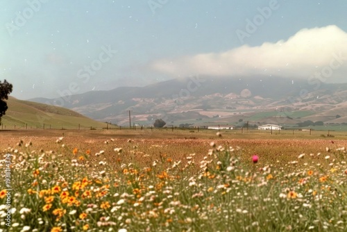 Flower fields and hills countryside landscape outdoors.