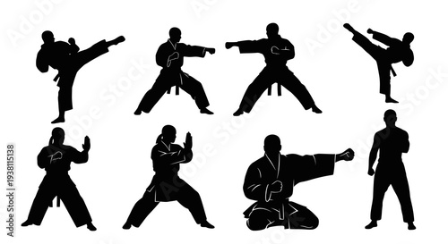 Karate Silhouette: Martial Arts Fighters in Dynamic Poses
