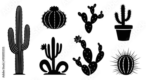 Black  White Glyph Vector Set of Various Cacti Silhouettes