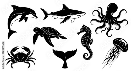 Black  White Ocean Animals Silhouettes: Dolphin, Shark, Turtle, Crab, Seahorse, Octopus, Jellyfish, Whale Tail
