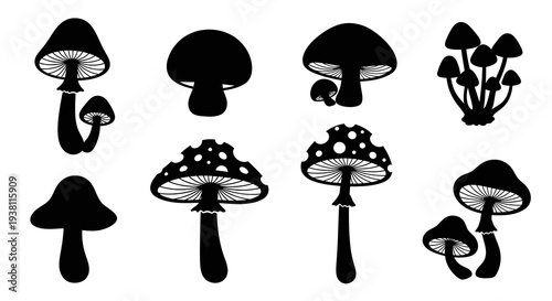 Black and White Silhouette Mushrooms Vector Art