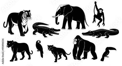 Black  White Animal Silhouettes: Safari, Jungle, Zoo Wildlife Vector Art
