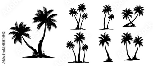 palm tree silhouette illustration 1.eps