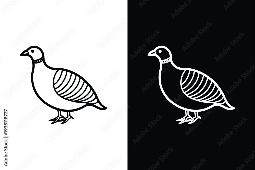 Fototapeta premium Partridge vector icon graphic isolated sketch illustration on white background.