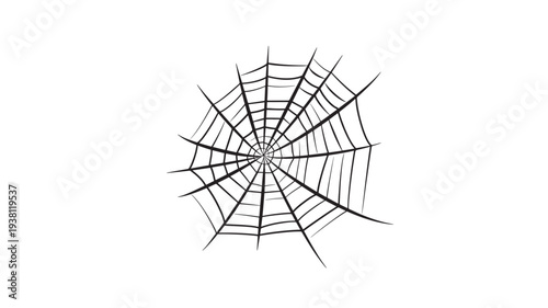 Spiderweb graphic with radiating lines and circular pattern, iconic symbol of nature and Halloween featuring spider web, web, arachnid with insect