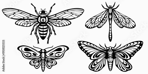 Detailed black and white illustration of a bee dragonfly and butterflies